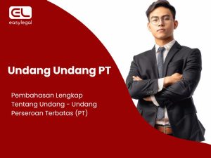 Undang Undang PT